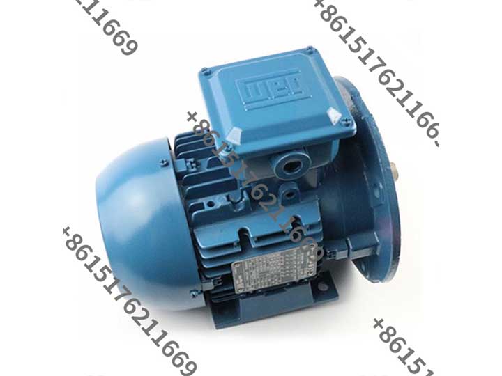 WEG three-phase low-voltage motor